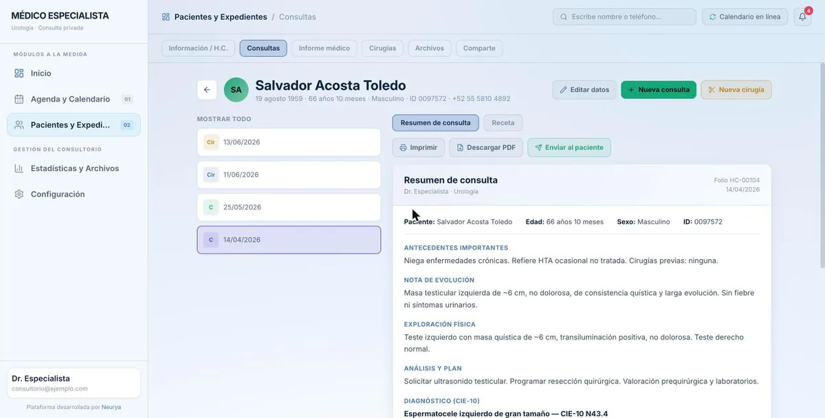 Pantalla de la demo: Resumen de consulta
